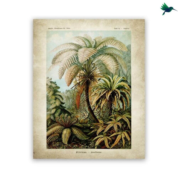 Poster Jungle Vintage Déco-exotique.fr
