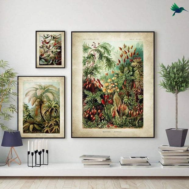 Poster Jungle Vintage Déco-exotique.fr