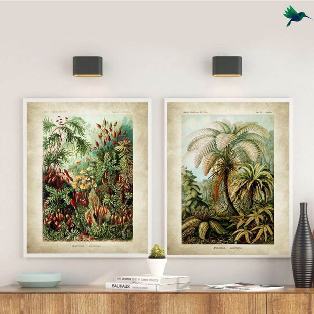 Poster Jungle Vintage Déco-exotique.fr