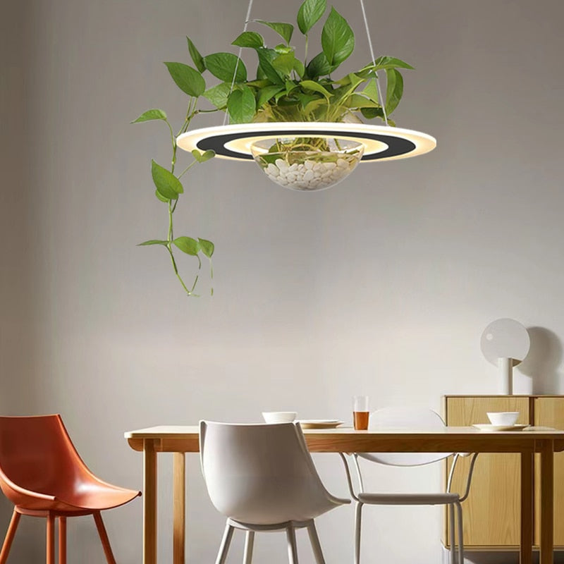 Lustre avec Plante Déco-exotique.fr