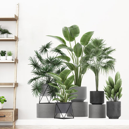 Sitemapcdatahttpapsmixel Thicoipeinfostickers Trompe L Oeil Plante