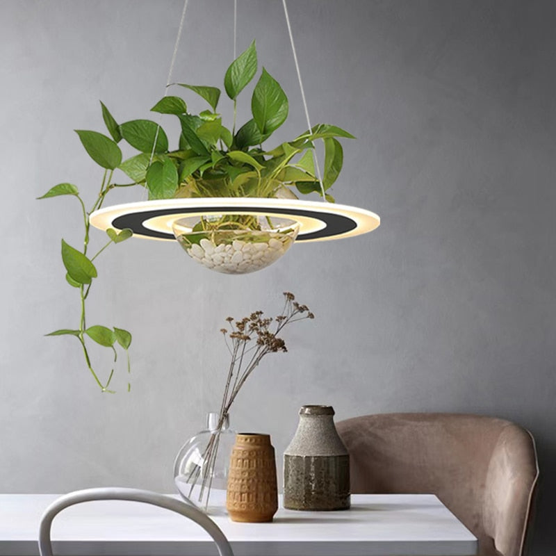 Lustre avec Plante Déco-exotique.fr