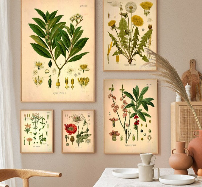 Affiche plante botanique – Déco Exotique