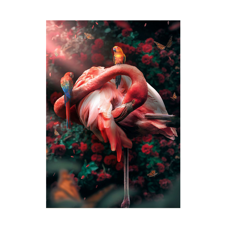 Affiche Flamant Rose Jungle Déco-exotique.fr