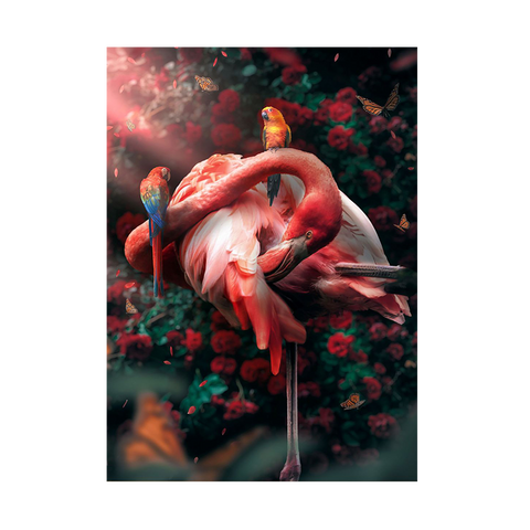 Affiche Flamant Rose Jungle Déco-exotique.fr
