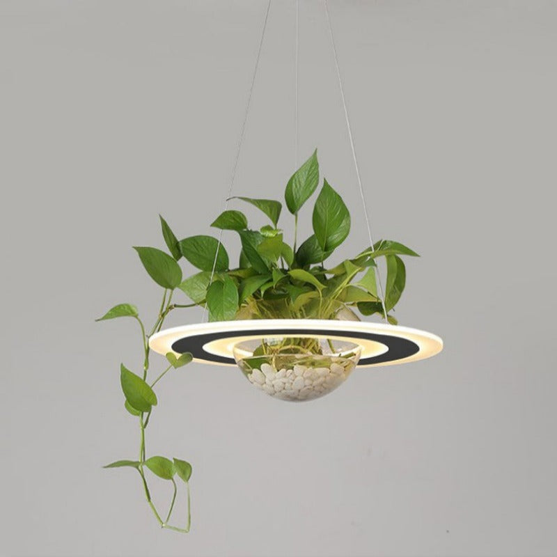 Lustre avec Plante Déco-exotique.fr