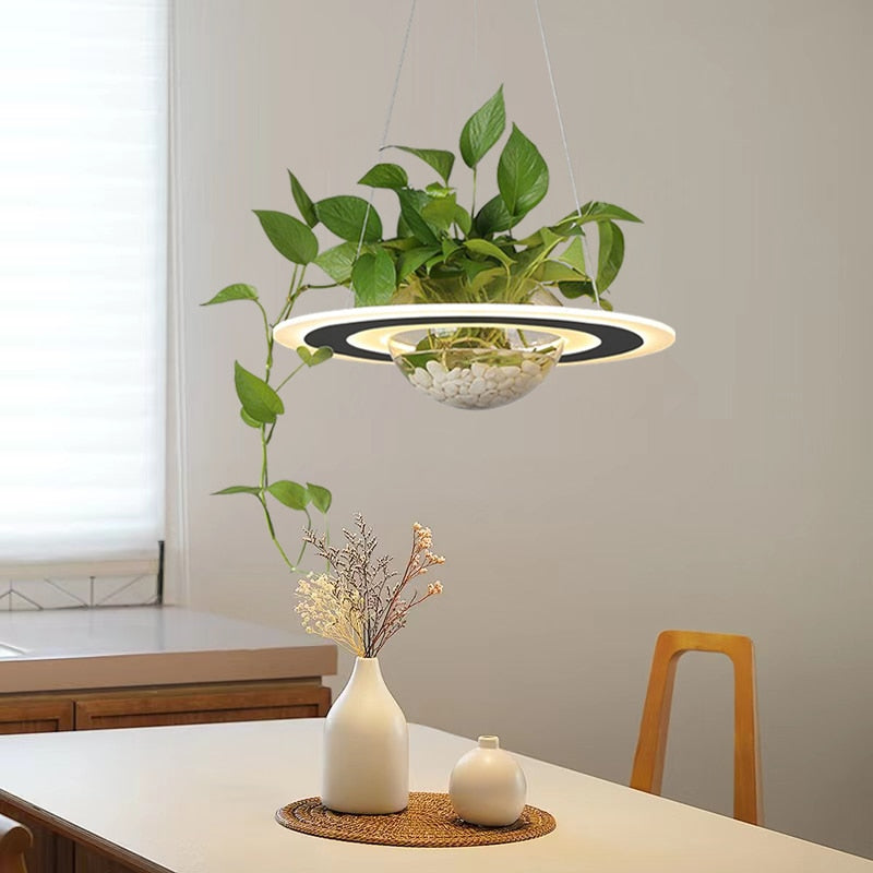 Lustre avec Plante Déco-exotique.fr