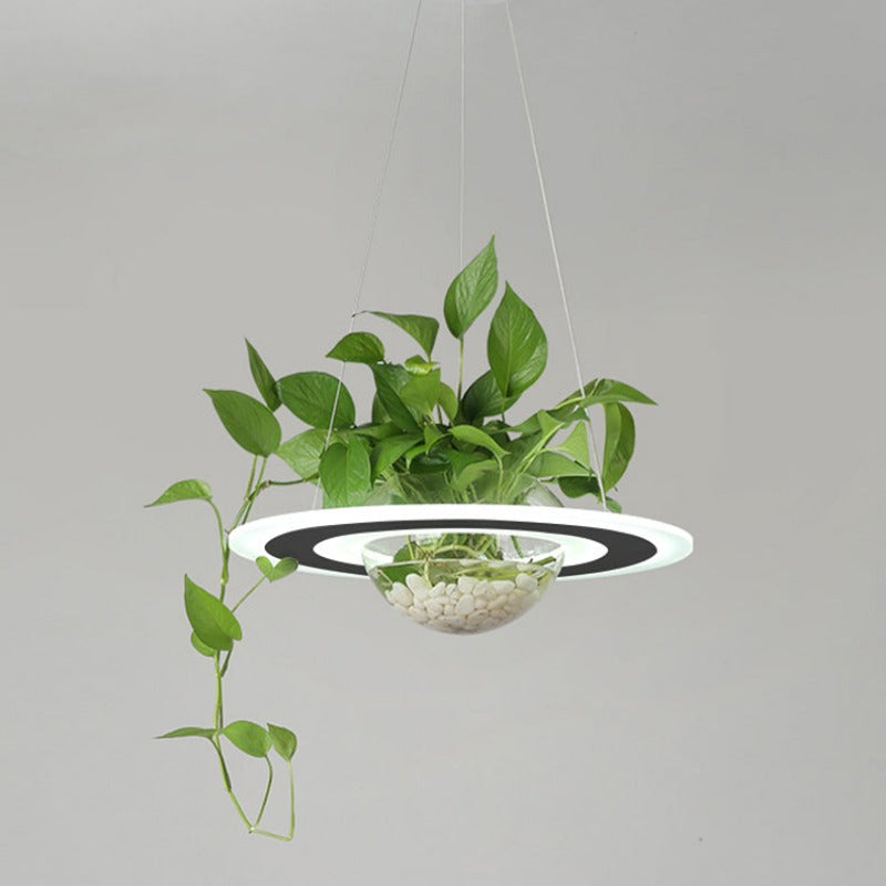 Lustre avec Plante Déco-exotique.fr