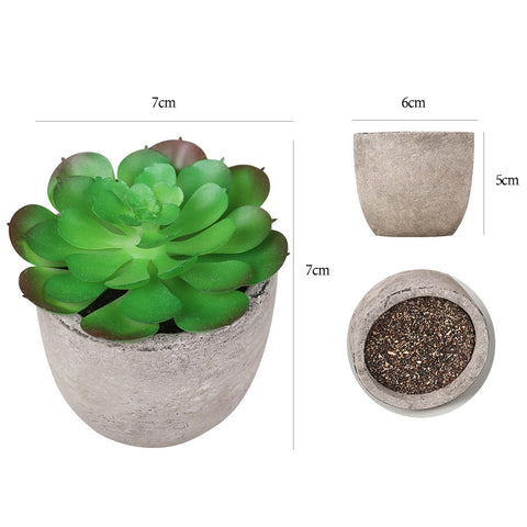 Petite Plante Artificielle en pot Déco-exotique.fr
