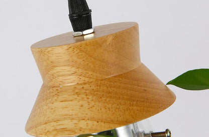 Suspension Luminaire Plante Déco-exotique.fr